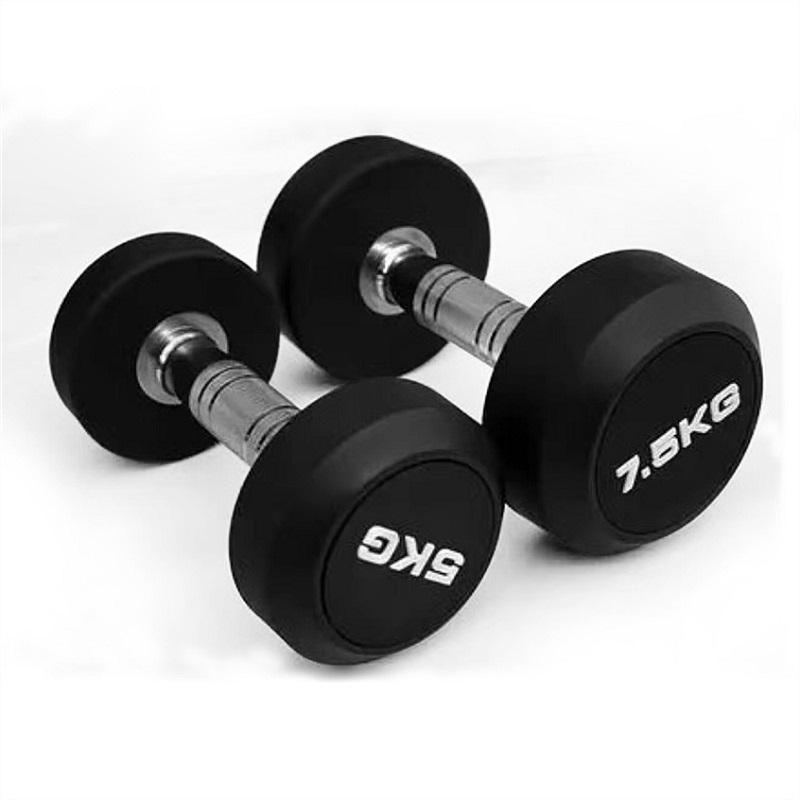 Free Weight Black Fixed Rubber round Dumbbell Weight Lifting Gym Dumbbell
