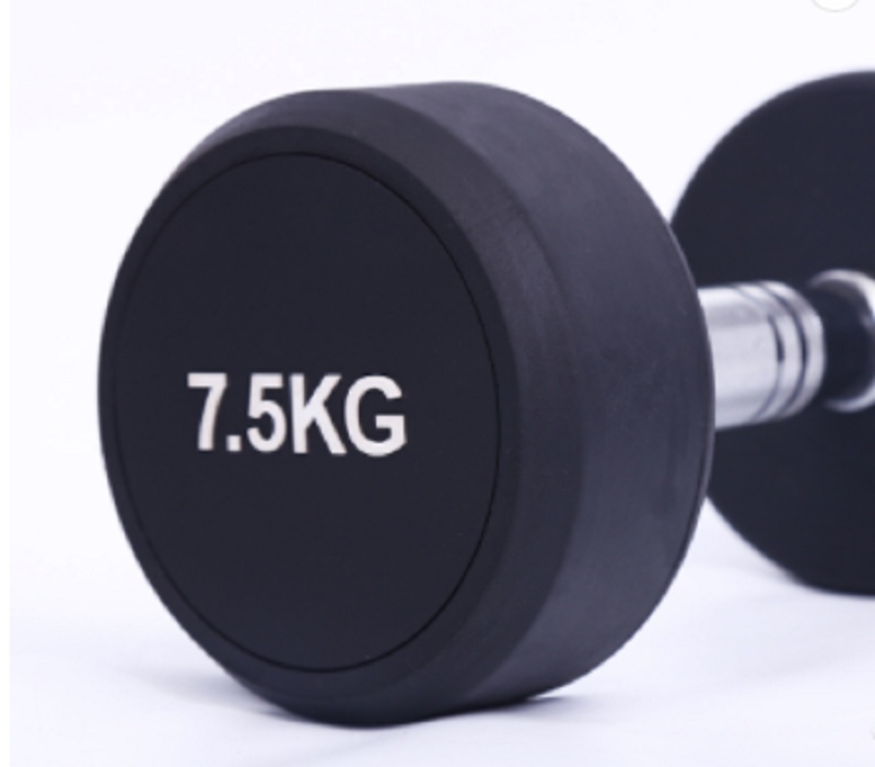 Free Weight Black Fixed Rubber round Dumbbell Weight Lifting Gym Dumbbell