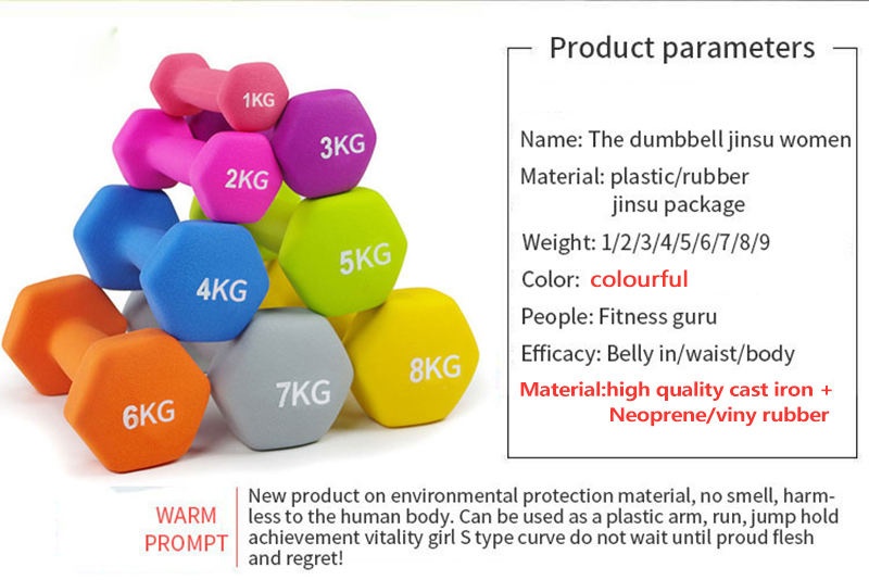 Factory Price Home used Portable Cheap Plastic Neoprene vinyl Rubber cast iron Dumbbell for women