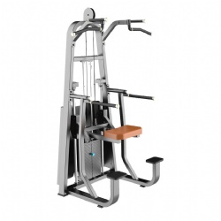 Gym exercise dip chin strength training machine
