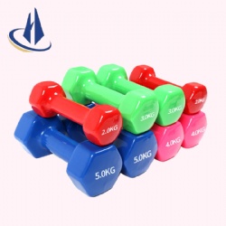 Women Vinyl Dumbbell