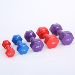 Women Vinyl Dumbbell